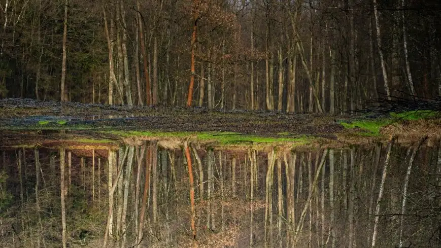 Kontrowersje wokół przebudowy stawów pod Giżyckiem