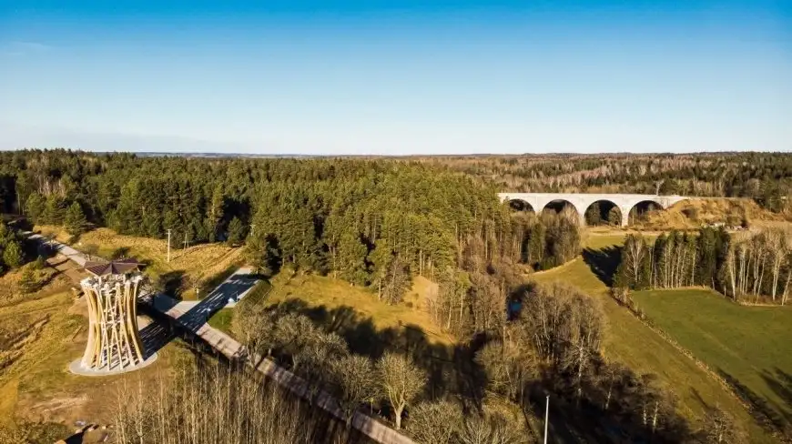 „Polska tajga” znajduje się na Mazurach