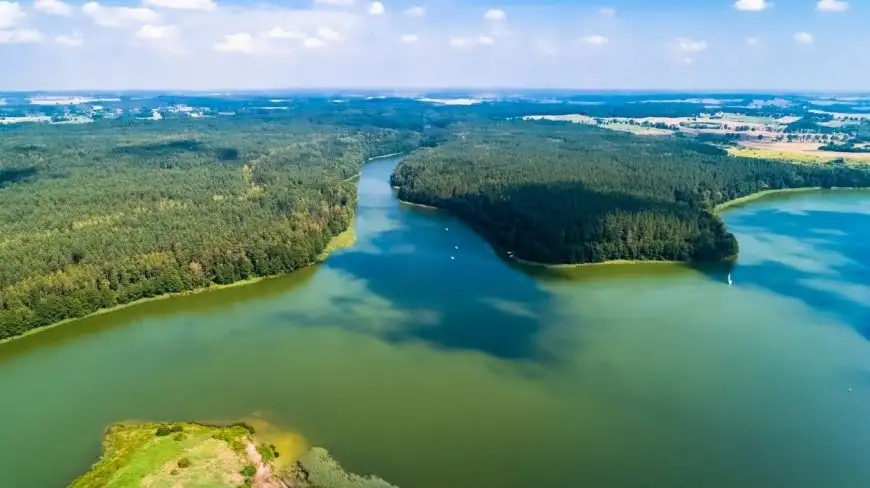 Spacerując po mazurskich lasach warto wziąć z sobą… worek