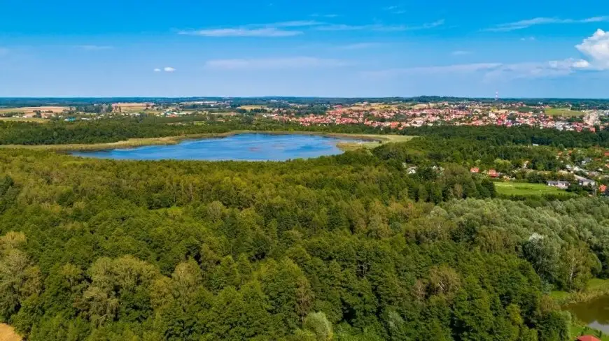 W okolicach Giżycka będzie można nocować w lesie