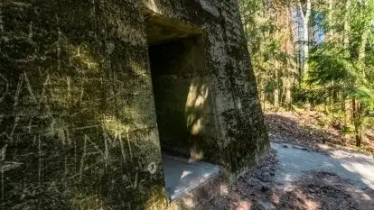 Czy Bursztynowa Komnata może być ukryta na Mazurach?