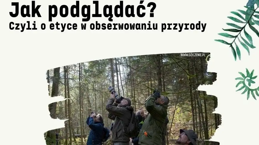 "Jak podglądać? Czyli o etyce w obserwowaniu przyrody"