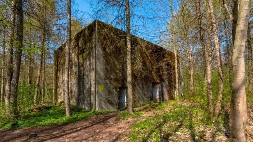 Co kryją jeszcze mazurskie lasy? Sprawdzą to leśnicy