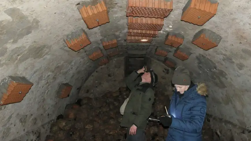 To niemal rekord. Przybyło nietoperzy na Mazurach