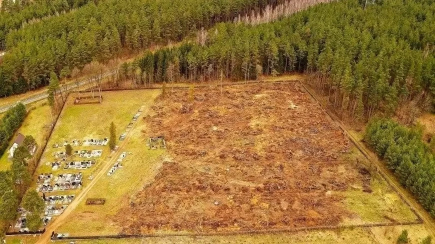 Zapadł wyrok w sprawie dewastacji zabytkowego cmentarza na Mazurach