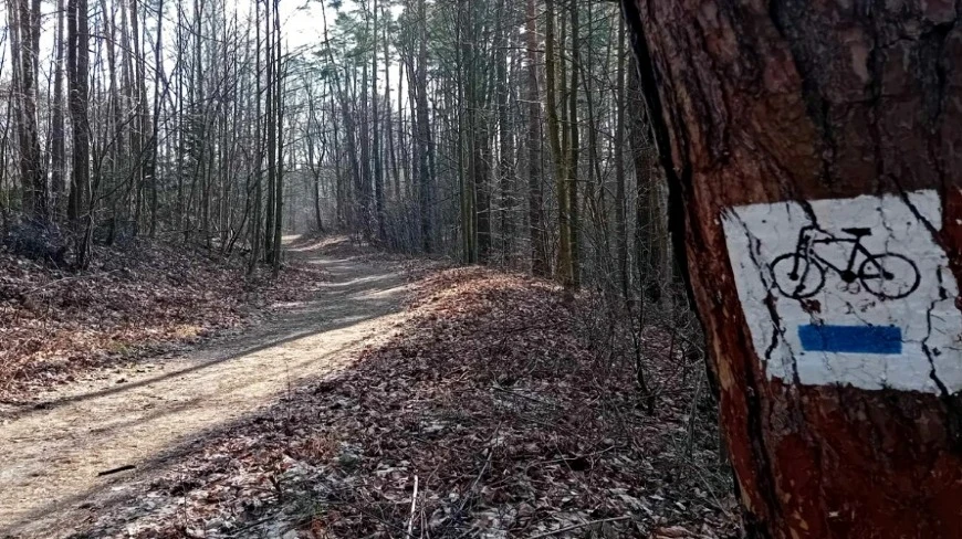 Rowerem przez Mazury. Mrągowo oznakowało swoje szlaki