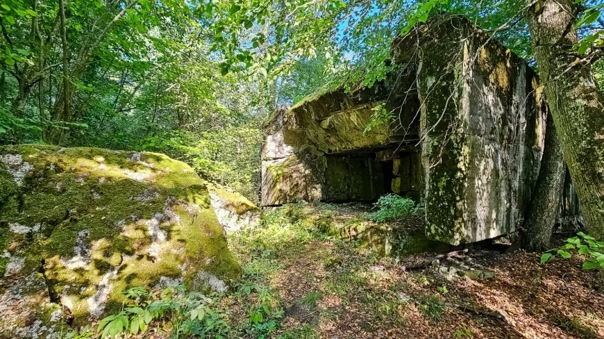 To warto zobaczyć na Mazurach. Schron Hansa Lammersa