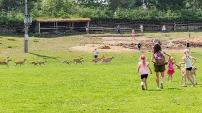 Kadzidłowo odcięte? Turystyczna perła Mazur z utrudnionym dostępem
