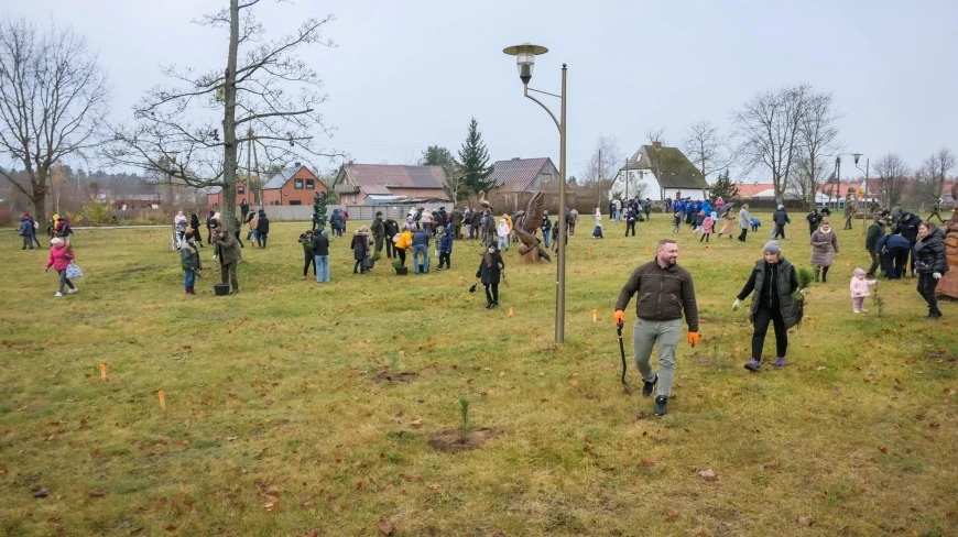 300 drzew na 300-lecie nadania praw miejskich Orzyszowi