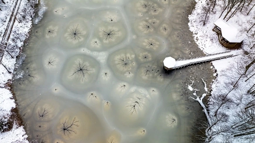 Podwodna „Galeria Sztuki” w Gajewie – zimowy spektakl natury zachwyca