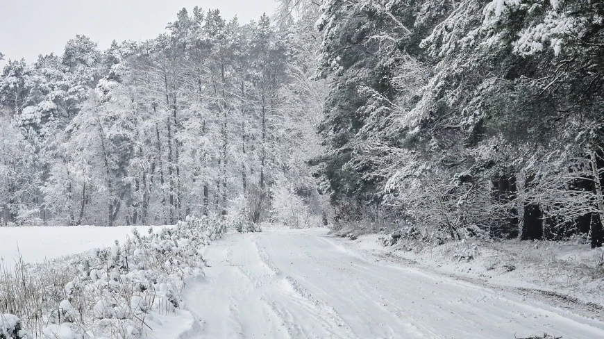 Atak zimy na Mazurach. Śnieżny paraliż w przeddzień Sylwestra. Rekordowe opady i chaos komunikacyjny
