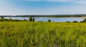 Sołdany pod szczególną ochroną. Na Mazurach powstanie nowy rezerwat przyrody