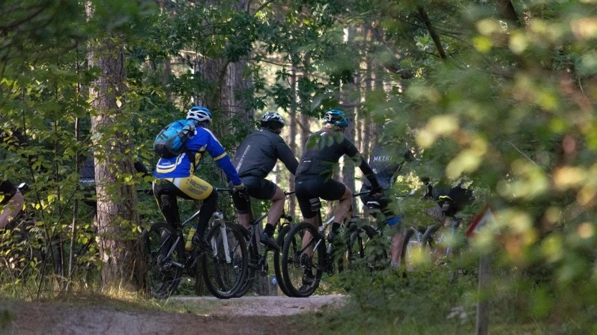 Zdjęcie poglądowe.