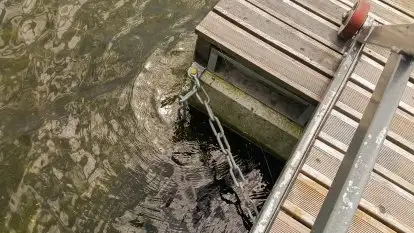 Pomosty Pływające - Majster Warmiński - zdjęcie 25