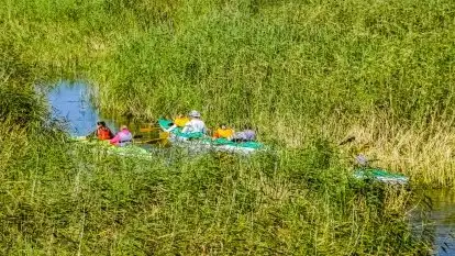 Spływy kajakowe rzeką Sapina - zdjęcie 8