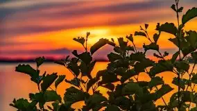 Zachód nad jeziorem Kisajno, sierpień 2021 r. - zdjęcie 22