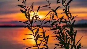 Zachód nad jeziorem Kisajno, sierpień 2021 r. - zdjęcie 32