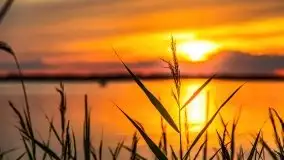 Zachód nad jeziorem Kisajno, sierpień 2021 r. - zdjęcie 28