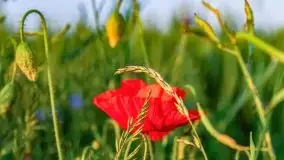 Zachód słońca w okolicach wsi Ublik - zdjęcie 9