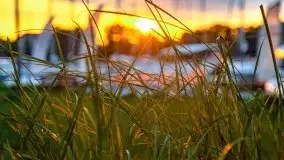 Wschód słońca w Stanicy Wodnej Stranda, sierpień 2021 r. - zdjęcie 16