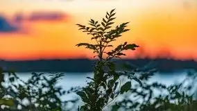 Zachód słońca nad jeziorem Kirsajty, wrzesień 2021 r. - zdjęcie 7