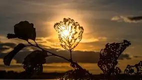 Zachód słońca nad jeziorem Kruklin, piękne te wrześniowe Mazury - zdjęcie 11