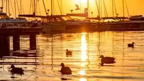 Wrześniowy wschód słońca w Wilkasach - porty AZS i PTTK Wilkasy - zdjęcie 18