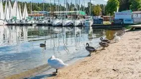 Suszenie żagli nad jeziorem Niegocin, Wilkasy - zdjęcie 34