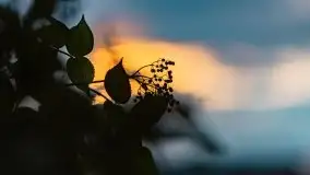 Zachód słońca nad jeziorem Dobskim, wrzesień 2021 r. - zdjęcie 25