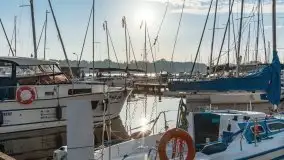 Port Sztynort na początku października 2021 r. - zdjęcie 33