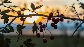 Zachód słońca w Pierkunowie, wrzesień 2021 r. - zdjęcie 2