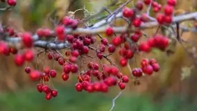 Zachód słońca w Pierkunowie, wrzesień 2021 r. - zdjęcie 14