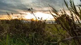 Zachód słońca w Pierkunowie, wrzesień 2021 r. - zdjęcie 20