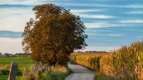 Zachód słońca w Pierkunowie, wrzesień 2021 r. - zdjęcie 25