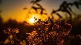 Zachód słońca, Giżycko, jezioro Niegocin, październik 2021 r. - zdjęcie 2