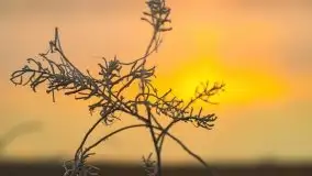 Październikowy wschód słońca, mgły i szron - zdjęcie 20