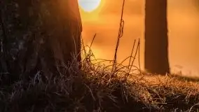 Październikowy wschód słońca, mgły i szron - zdjęcie 41