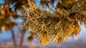 Październikowy wschód słońca, mgły i szron - zdjęcie 48