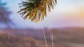 Październikowy wschód słońca, mgły i szron - zdjęcie 64