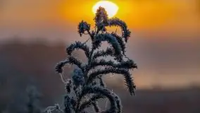 Październikowy wschód słońca, mgły i szron - zdjęcie 54