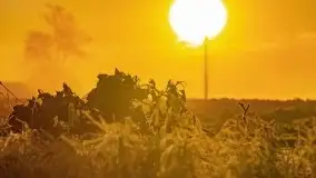 Październikowy wschód słońca, mgły i szron - zdjęcie 68