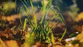 Początki mazurskiej złotej jesieni, październik 2021 r. - zdjęcie 8