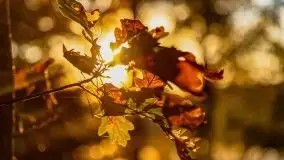 Zachód słońca nad jeziorem Krzywa Kuta - zdjęcie 7