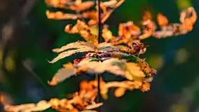 Zachód słońca nad jeziorem Krzywa Kuta - zdjęcie 6