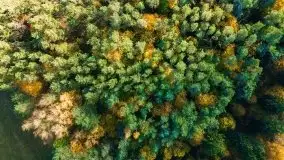 Jesień z lotu ptaka w okolicach jezior Gołdopiwo i Wilkus - zdjęcie 22