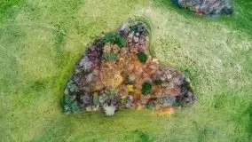 Mazury są pełne schronów i bunkrów z czasów I i II w.ś. - zdjęcie 25