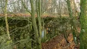 Mazury są pełne schronów i bunkrów z czasów I i II w.ś. - zdjęcie 18