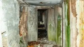 Mazury są pełne schronów i bunkrów z czasów I i II w.ś. - zdjęcie 15