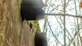 Mazury są pełne schronów i bunkrów z czasów I i II w.ś. - zdjęcie 16