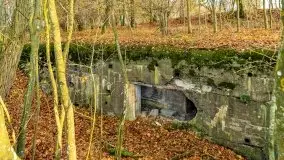 Mazury są pełne schronów i bunkrów z czasów I i II w.ś. - zdjęcie 14